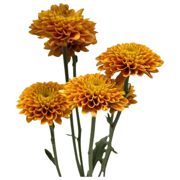 Naranja